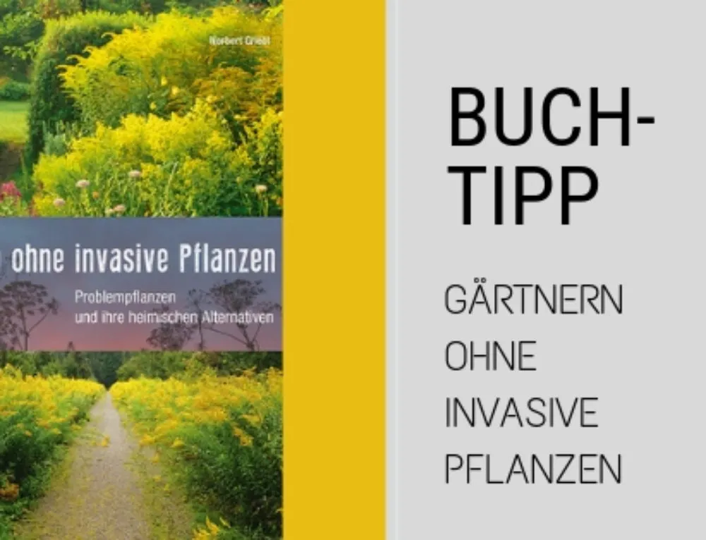 Buchtipp Wanderführer Teneriffa RAEMPEL