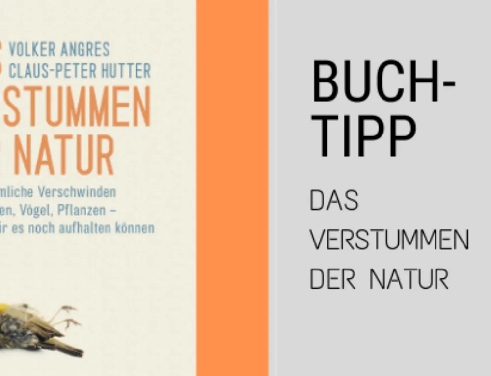 Buchtipp Wanderführer Teneriffa RAEMPEL