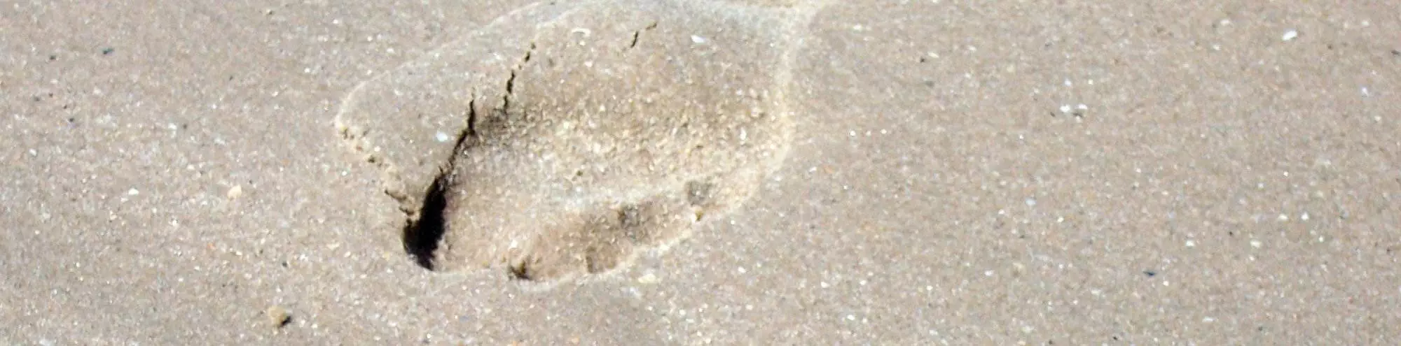 Ein ökologischer Fußabdruck an einem Strand.