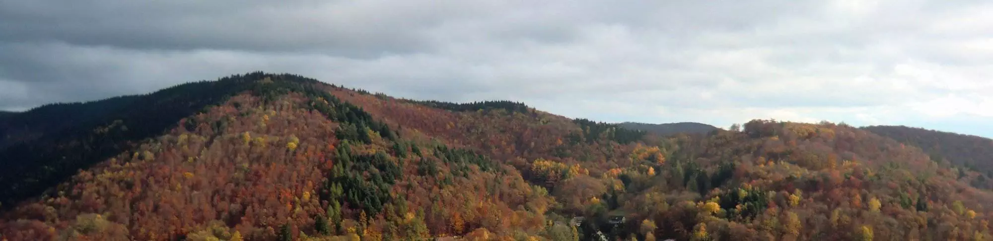 Eine Luftaufnahme von Bad Lauterberg im Herbst mit Bäumen.
