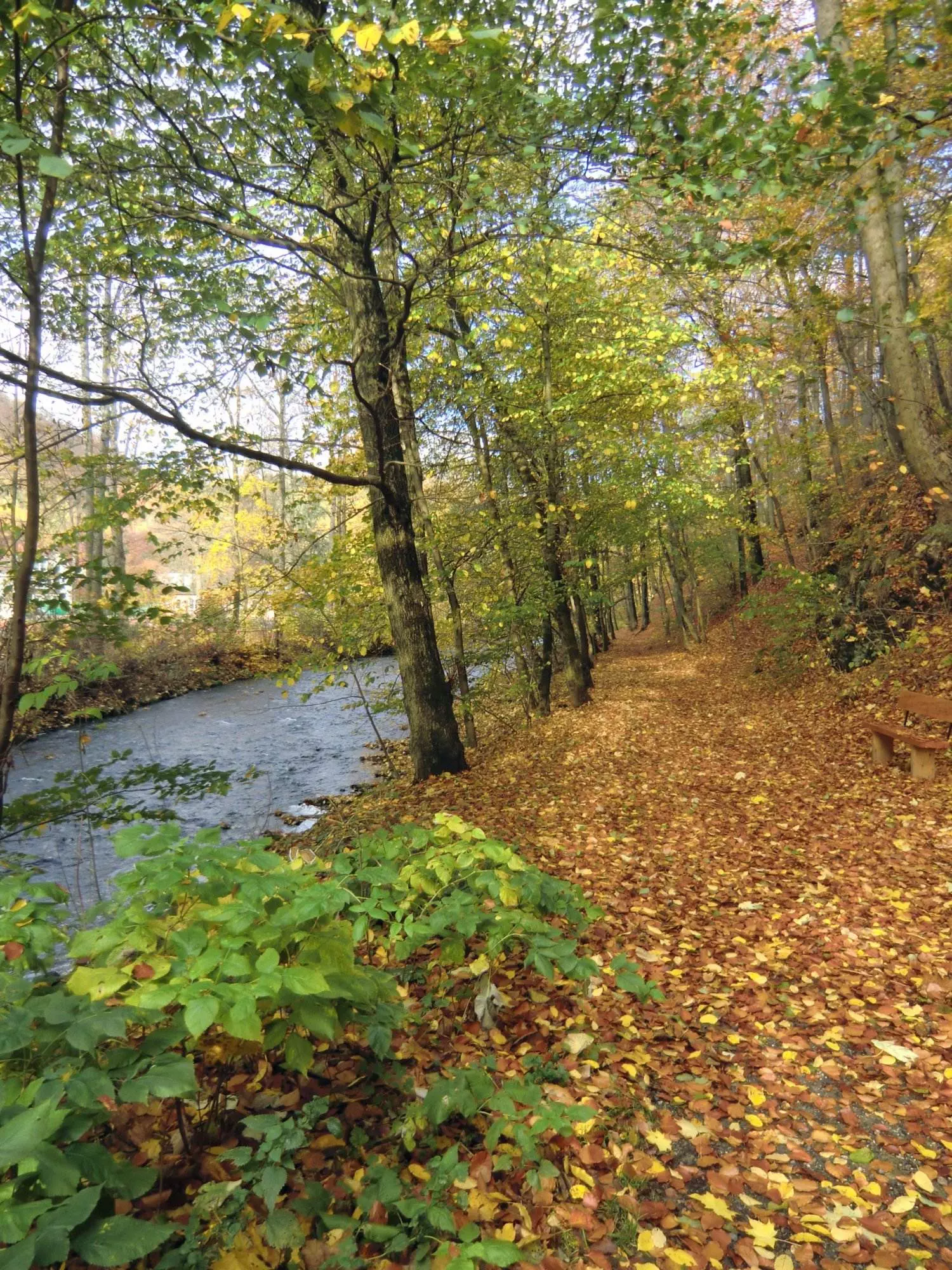 Ein Fluss in Bad Lauterberg umgeben von Wäldern.