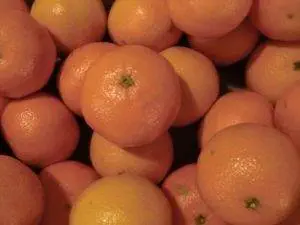 Mandarinen (Citrus reticulata)