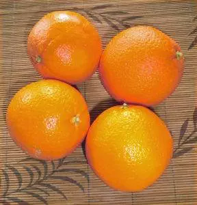 Bio - Orangen (Citrus sinesis)