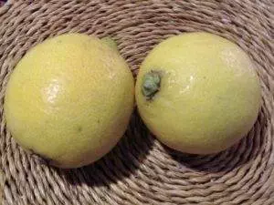 Bio - Zitronen (Citrus limon)