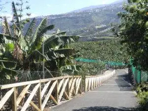 Wandern Teneriffa Puerto de la Cruz