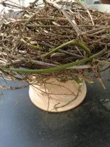 Naturdekoration Ostern2