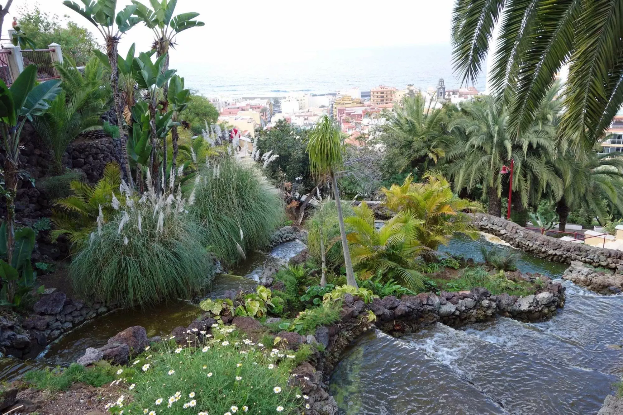 Ein malerischer Garten in Puerto de la Cruz mit einem ruhigen Bach, der sich durch die üppige Umgebung schlängelt.