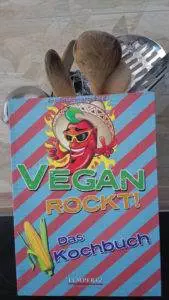 Vegan kochbuch
