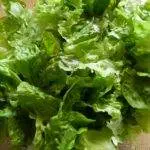 Rezept salat champignon