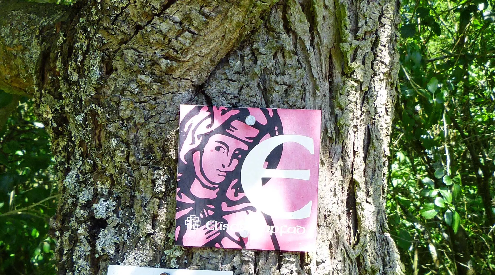 Ein Schild an einem Elisabethpfad-Baum auf Etappe 3.