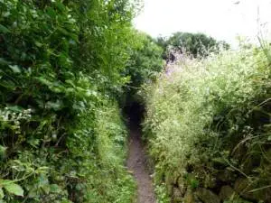 cornwall-1-st-michael-pfad-s