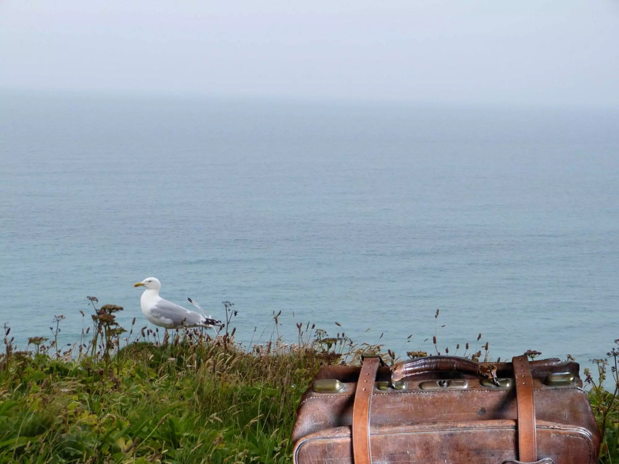 Ein brauner Koffer, der auf einem grasbewachsenen Hügel neben dem Meer steht.