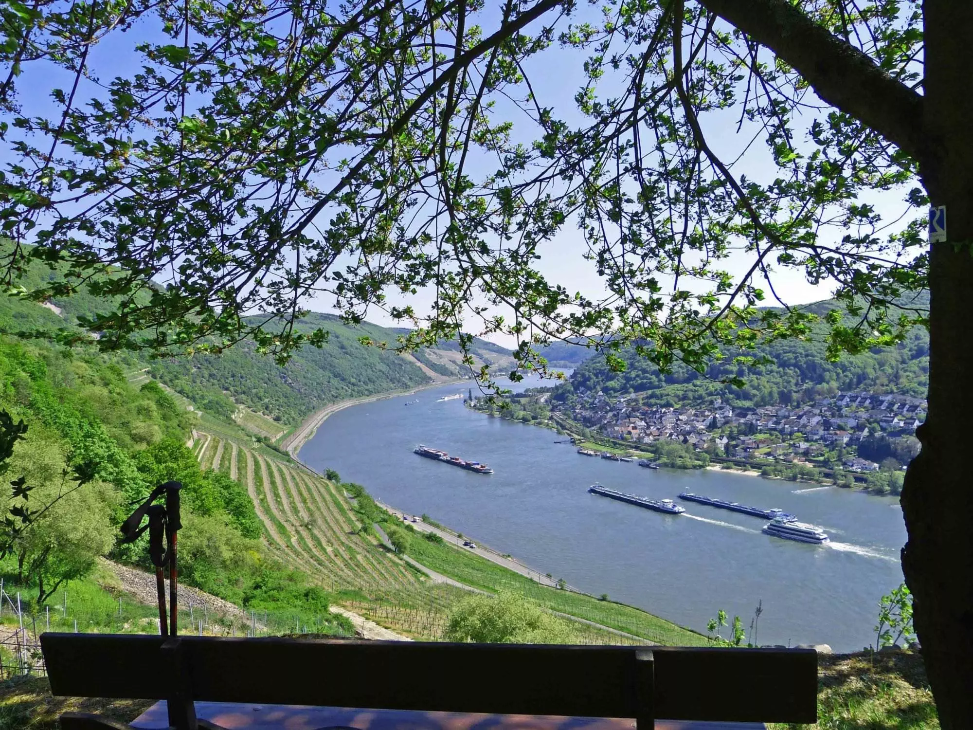 Eine Rheinsteig-Etappe-5-Bank mit Blick auf den Rhein.