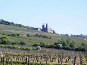 rheinsteig etappe 5 rüdesheim