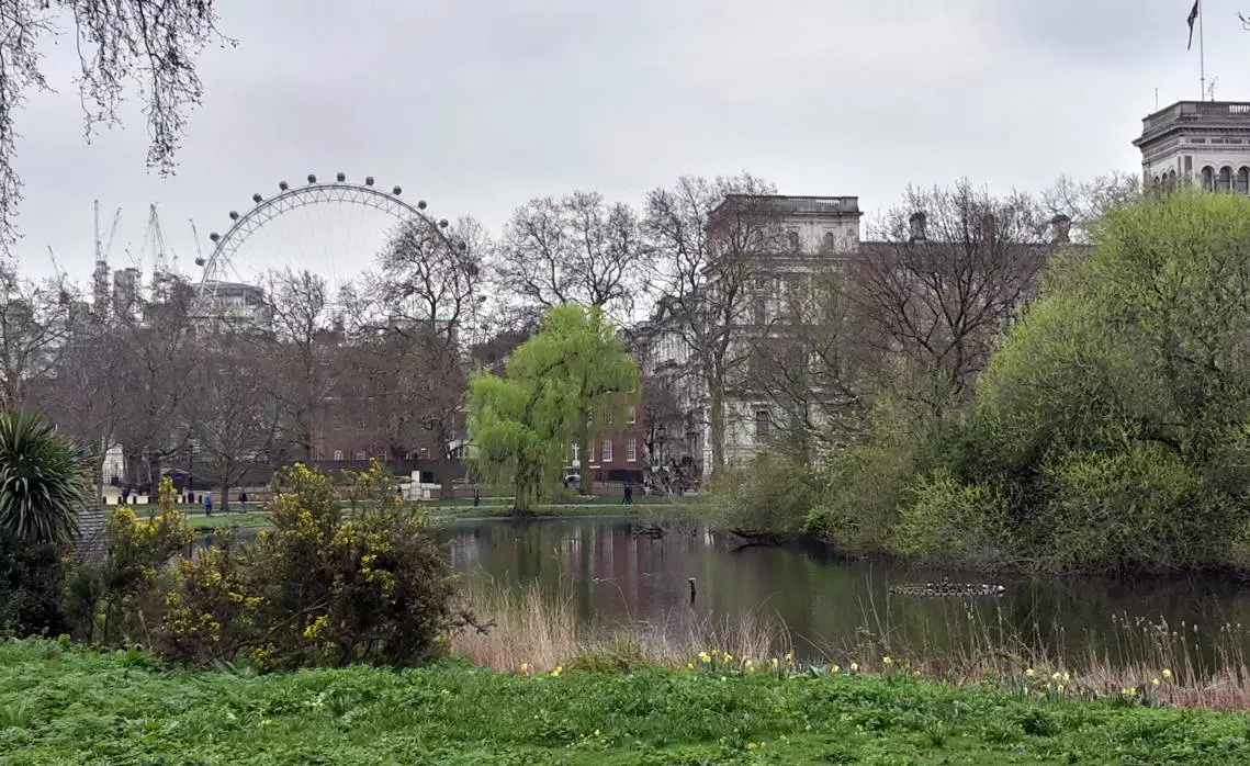 london eye st james park