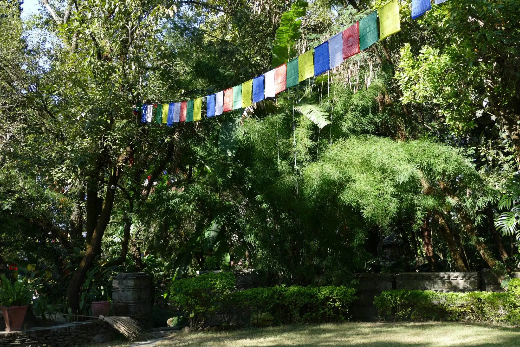 Bunte Gebetsfahnen hängen an Bäumen in Norbulingka in Dharamsala.