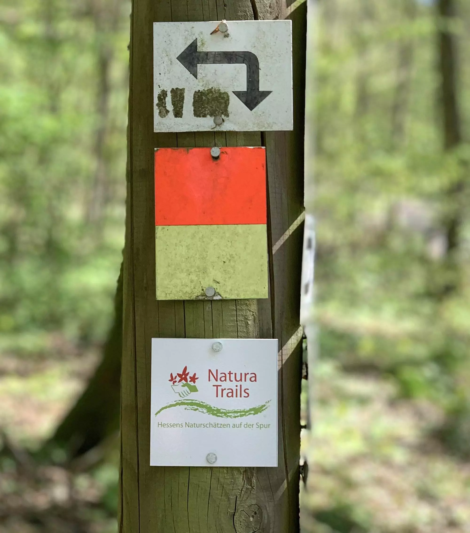 Rundwanderweg Natur Trail Taunus Schild