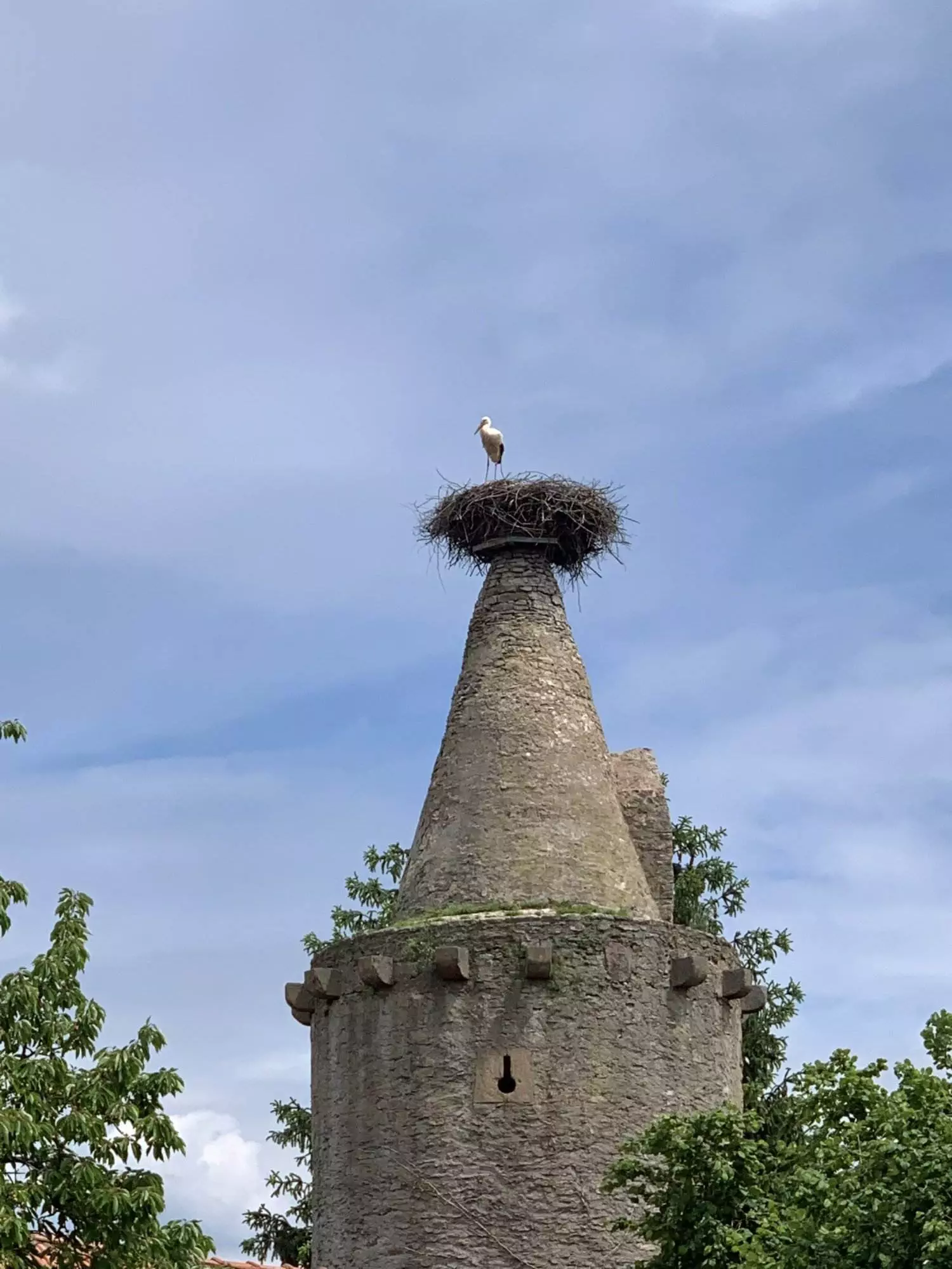 Ein Vogel sitzt auf einem Turm.