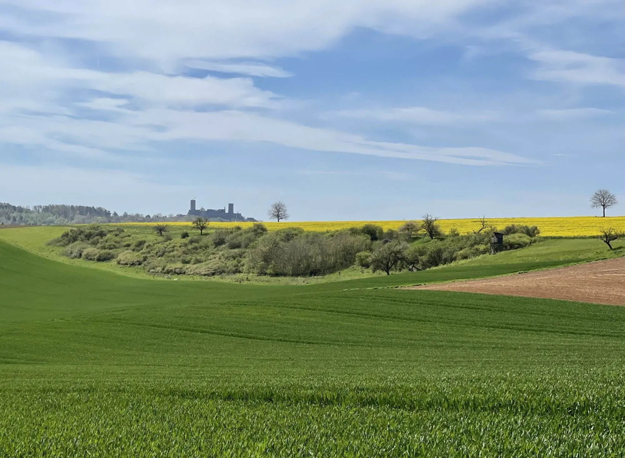 Eine grüne Wiese mit einer Burg im Hintergrund.