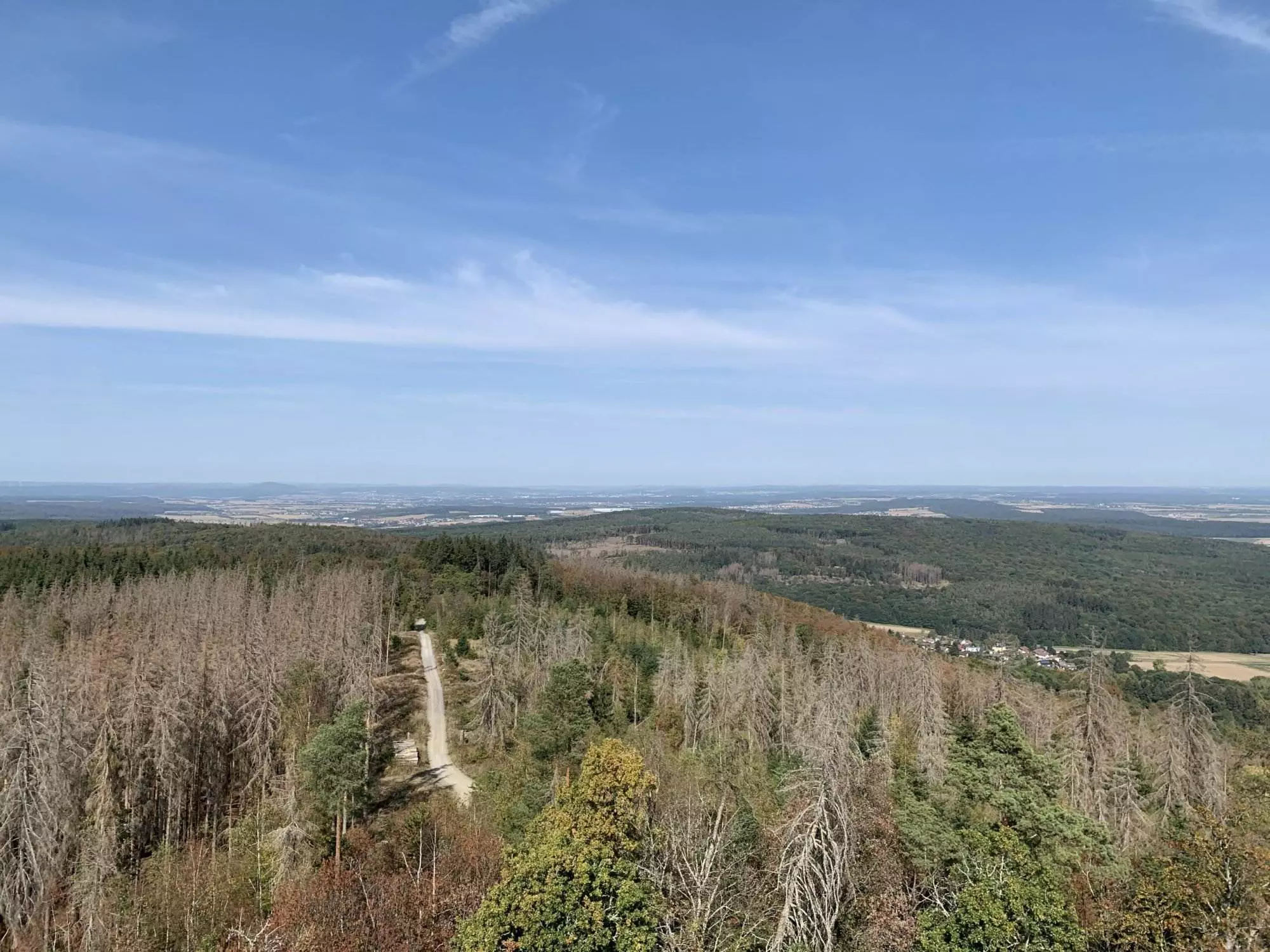Ein Blick von der Spitze eines Hügels mit Blick auf einen Wald.
