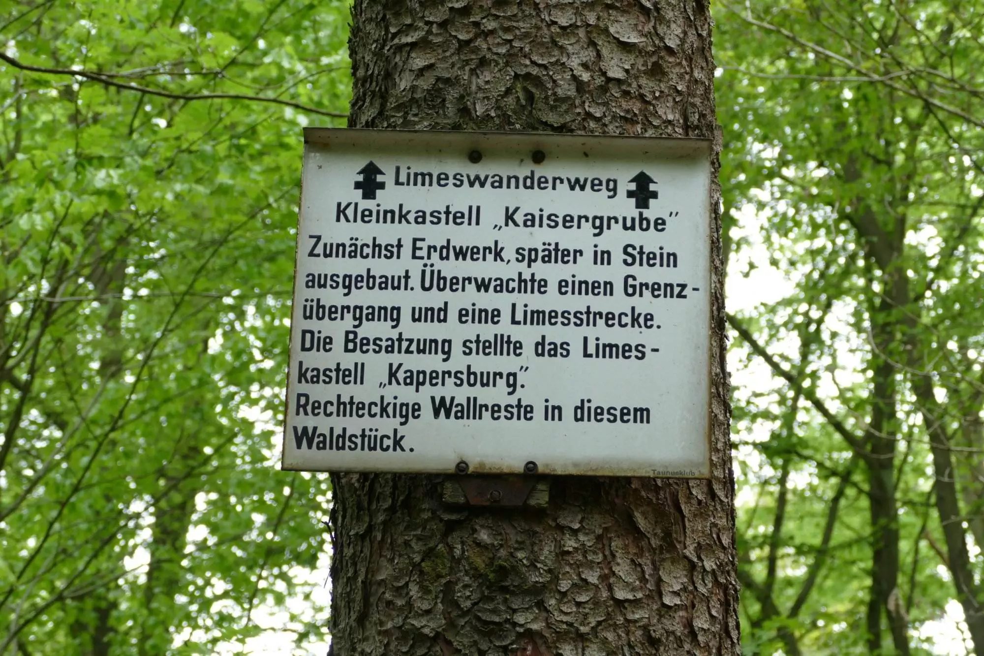 Ein Schild an einem Baum im Wald.