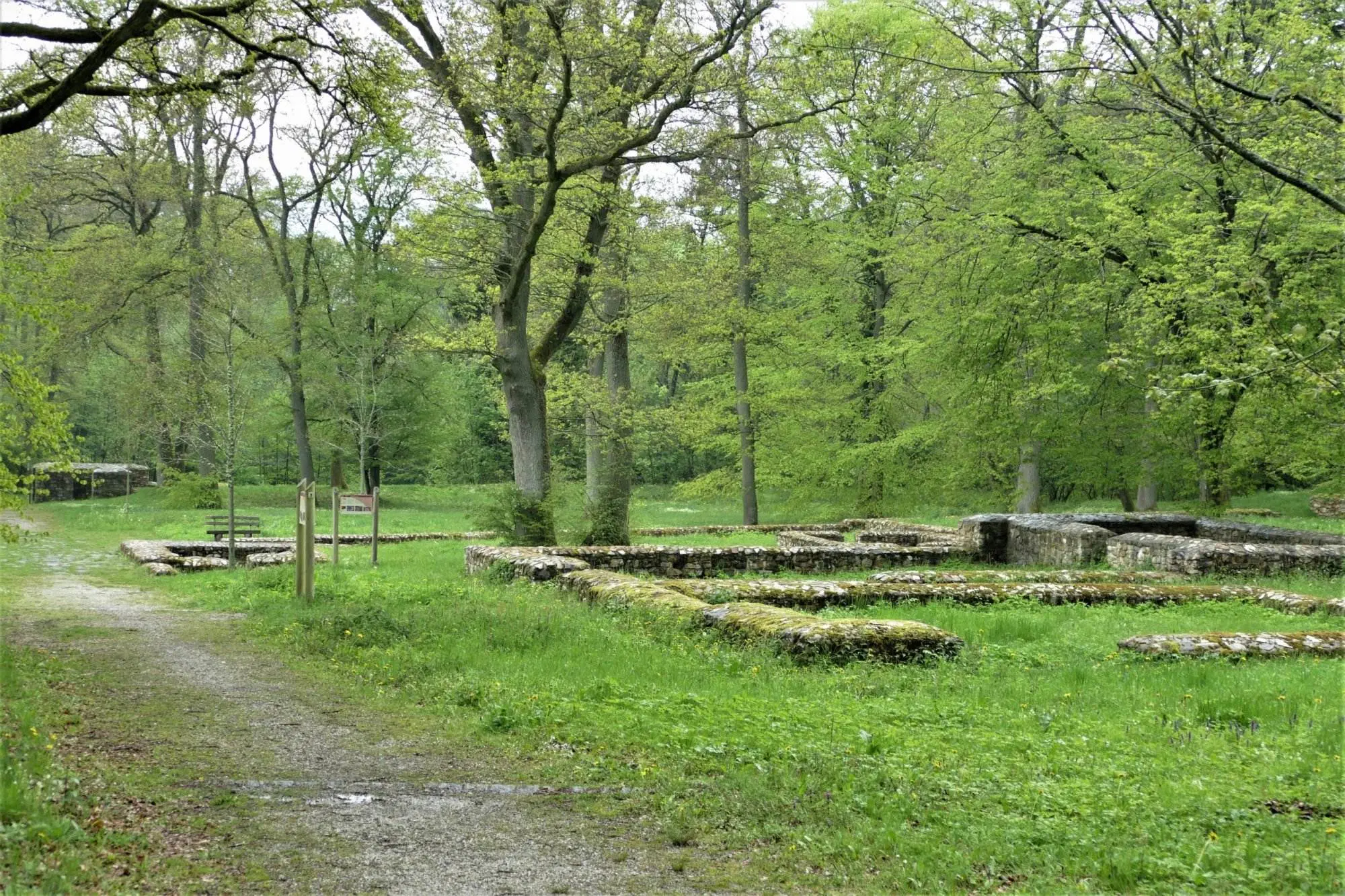 Die Ruinen einer Burg in einem Waldgebiet.