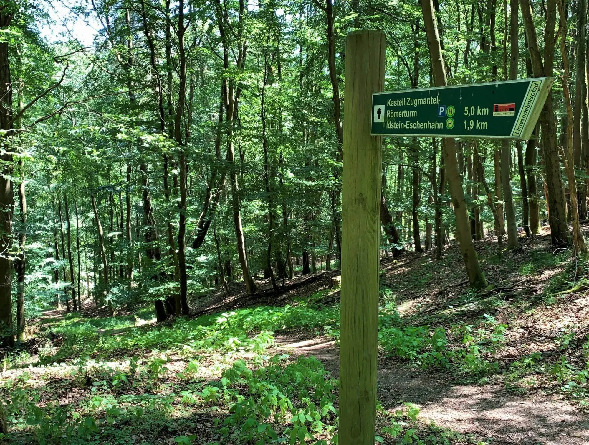 Ein Wegweiser in einem Waldgebiet.