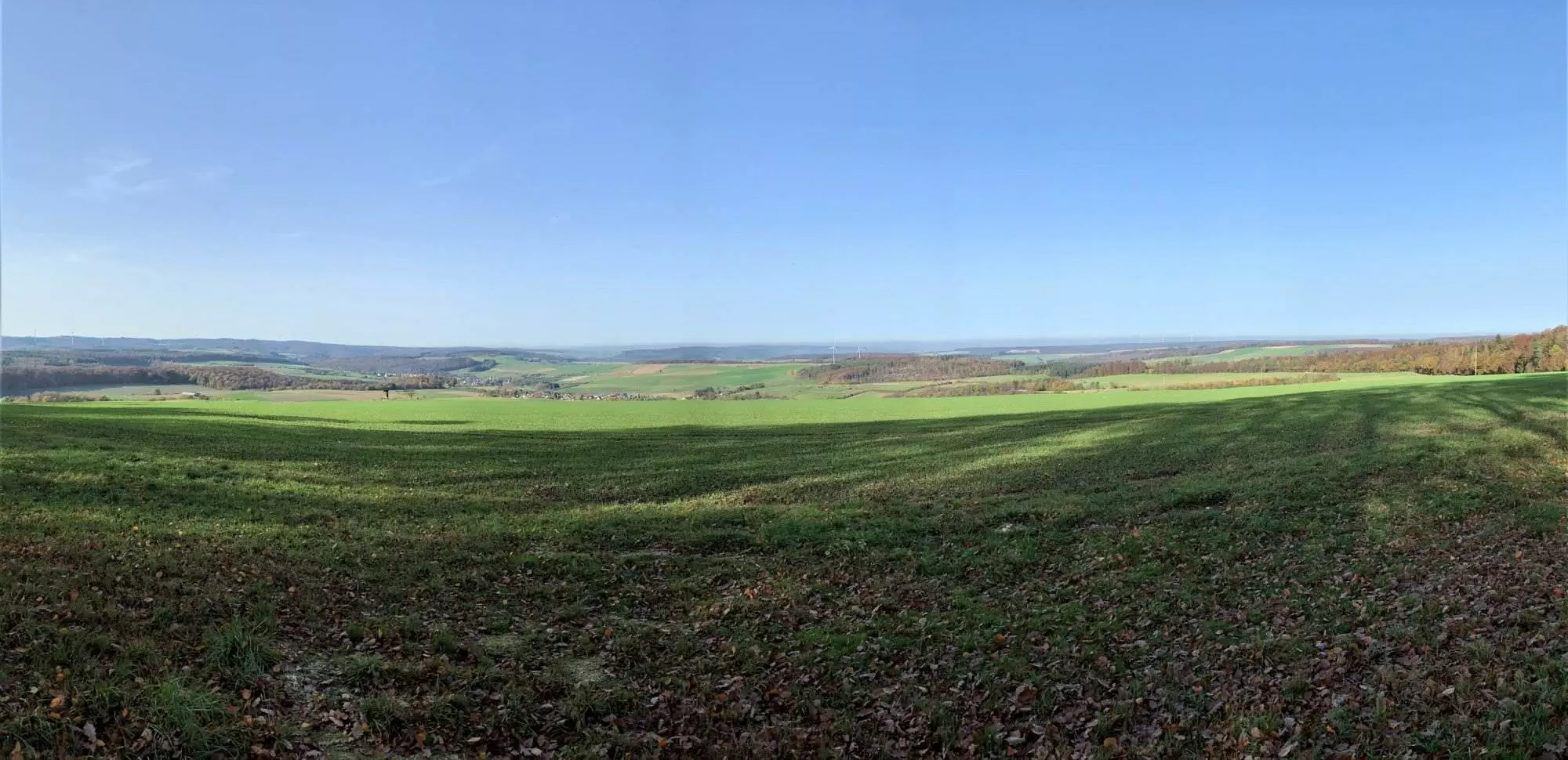Ein Panoramablick auf eine grüne Wiese.