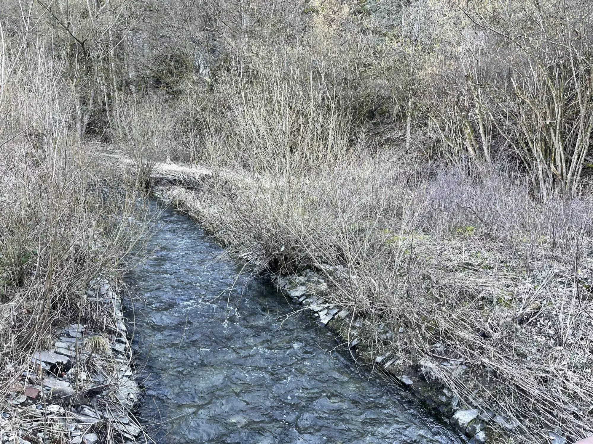 Ein kleiner Bach, der durch ein Waldgebiet fließt.